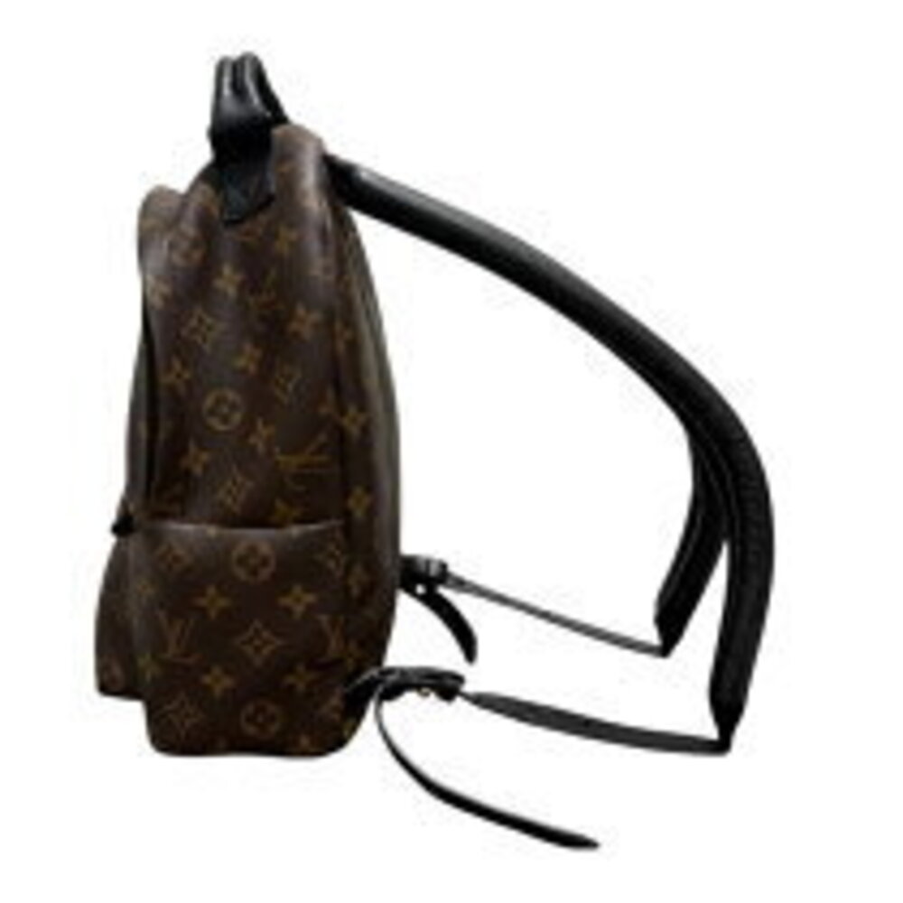 Louis Vuitton Palm Springs Backpack Monogram Daypack - Picture 3 of 9